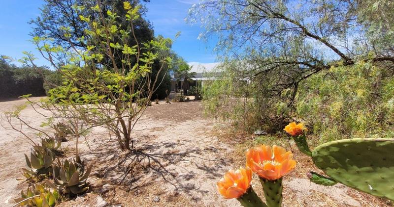 4 Bedroom Property for Sale in Hopefield Western Cape